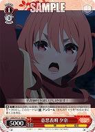 意思表明 夕奈 【AMG/W121-062C】
