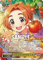 たいようのガーデン 龍崎 薫(M@P) 【IMC/WE51/07M@P】