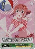 海辺の彼女 墨(ホイル) 【KNK/W132-021SR】