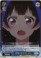 尊敬のまなざし みに(ホイル) 【KNK/W132-094SR】