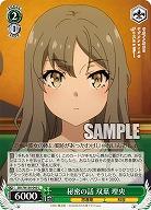 秘密の話 双葉 理央 【SBY/W136-040C】