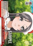 サンタさんのお仕事 【SBY/W136-071CR】