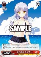 夏の訪れ かなで 【Kab/W102/060U】