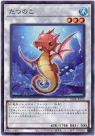 たつのこ 【25DB-JP035P】