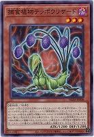 捕食植物テッポウリザード 【BLZD-JP008】