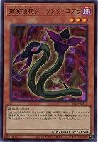 捕食植物ダーリング・コブラ 【BLZD-JPS11UR】