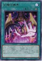 幻惑の操手 【BPRO-JP068R】