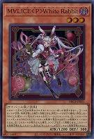M∀LICE<P>White Rabbit【DBCB-JP015SR】
