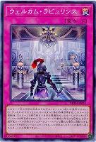 【キズ有り特価 A】ウェルカム・ラビュリンス【DBTM-JP023SR】