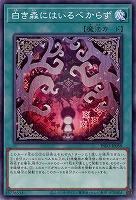 白き森にはいるべからず【INFO-JP059】