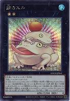 餅カエル(SE) 【LOCH-JP061SE】