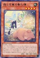 森と目覚の春化精【POTE-JP017R】