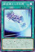 肆世壊からの天跨【POTE-JP059】