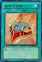 【キズ有り特価 A】強者の苦痛【WC08-JP002UR】