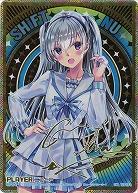 ※秋葉原店併用商品 【キズ有り特価A】 ニューP(CVR) 【E29-063CVR】