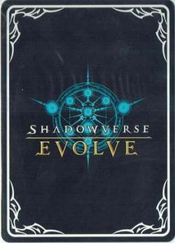 二人の追憶 (裏面エボルヴロゴ) 【SV/EP/000】