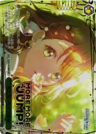 ※秋葉原店併用商品 気になっちゃう背中(EXSEC) 【PJS/S125-056EX SEC】