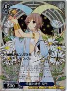 ※浜松店併用品商品 情報と感情 長門(SP) 【Ssy/W123-099SP】
