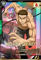 ※秋葉原店併用品 ノルバ・シノ 【FQ02-066P】