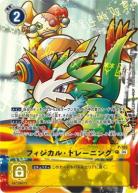 【キズ有り特価A】ウィズダム・トレーニング 【ST18/P/105】