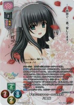 夢を追いかけるもう一人の幼馴染み 八重 桜(SP) 【LO-5948SP】