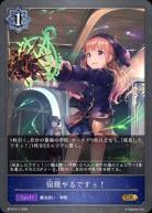 ※秋葉原店併用商品　宿題やるですぅ!(プレミアム) 【BP16/P11GRP】