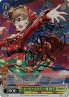 【キズ有り特価B】ホーリーホリデー 堀 裕子(SP) 【IMC/W115/011SP】