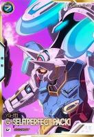 G-セルフ(パーフェクトパック) (USEC) 【FQ04-015USEC】