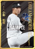 ドリームオーダー シリアル 勝負師 プロモ 横浜 ドリームオーダー プロモ 勝負師 横浜 シリアル