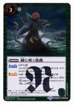 湖に咲く薔薇【BSC26R045/049】