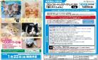 18%OFF【予約】ブロッコリートレカアイテムくじEX「猫これくしょん」 【ハーフセット(43本)】【26年1月23日】※店舗引取り不可※10/5締切