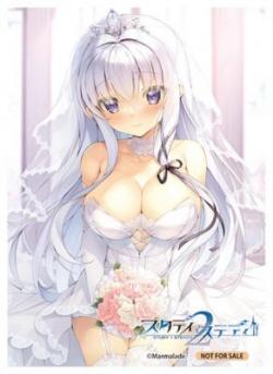 【買取品】 スタディ§ステディ2『墹之上 由乃』 スリーブ(60枚セット)