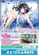 18%OFF【予約】ブロッコリートレカアイテムくじEX「カントク」第2弾 【ハーフセット(45本)】【26年2月13日】※店舗引取り不可※11/14締切