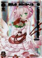 【開封済み】【キズ有り特価A】奏でし者　タウィル=ノル【SPK04-18】コングラ
