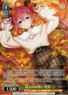 ※秋葉原店併用商品 揺るがぬ想い 琴里(SP) 【DAL/W131-001SPSP】