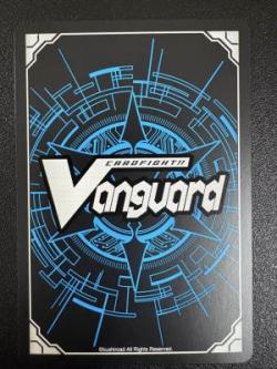 ※クレジットカード支払いのみ　【キズ有り特価A】華燐想奏 ルルーラティエ(PR) 【D-PR/793】