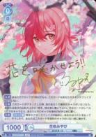 ※秋葉原店併用商品 花咲みやび　(SSP)　【HOS/01B-046SSP】