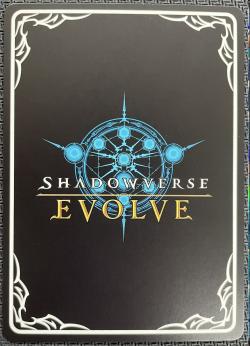 ※秋葉原店併用商品　友魂の少女・ルナ(SP)※クレジットカード支払いのみ 【BP17/SP01SP】