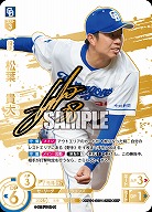 ※秋葉原店併用商品 松葉　貴大(中日ドラゴンズ)(SSP) 【BP01-D01SSP】