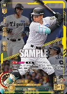 ※秋葉原店併用商品 佐藤　輝明(阪神タイガース)(SEC) 【BP01-T04SEC】