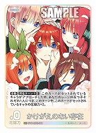 ※秋葉原店併用品　かけがえのない存在 【GYC-BP2-081GR】