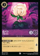 白バラ(ホイル)【AS/040/204CH】