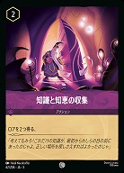 知識と知恵の収集(ホイル) 【SS/062/204CH】