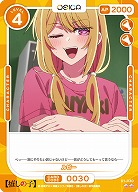 ルビー 【01-030N】
