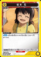 坂本 花 【UA43BT/SMD-1-027C】