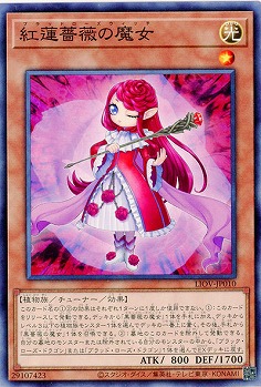 紅蓮薔薇の魔女 【LIOV-JP010】