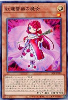紅蓮薔薇の魔女 【LIOV-JP010】