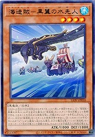 海造賊-黒翼の水先人 【LIOV-JP018R】