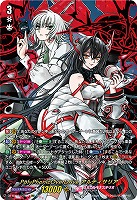 PolyPhonicOverDrive アルティサリア(DSR) 【DZ-BT07/DSR01DSR】