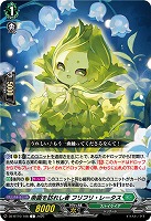 楽園を訪れし者 フリフリ・レータス 【DZ-BT10/108C】